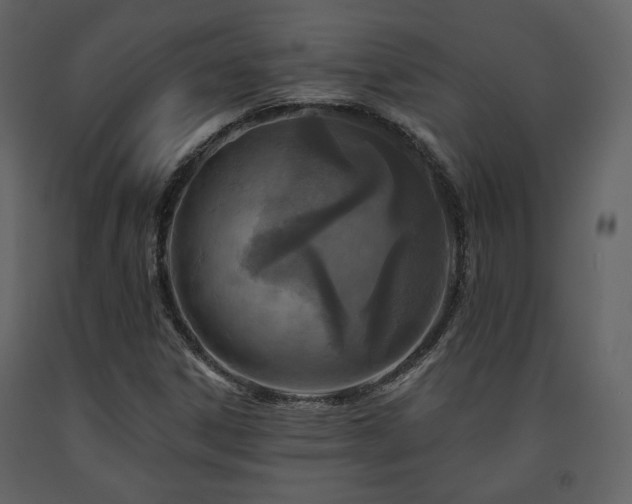 X0000091721306200708241340