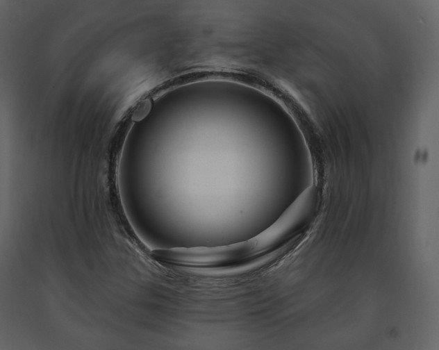 X0000091721307200708241340