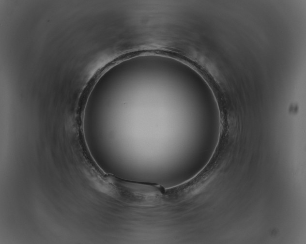 X0000091721308200708241340