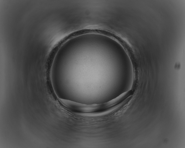 X0000091721311200708241340