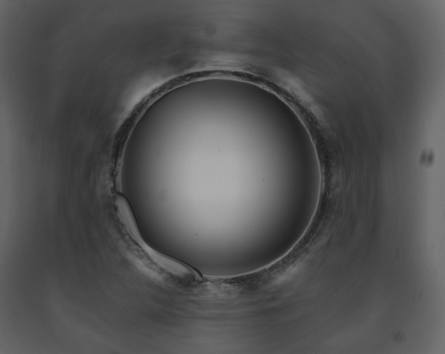 X0000091721312200708241340
