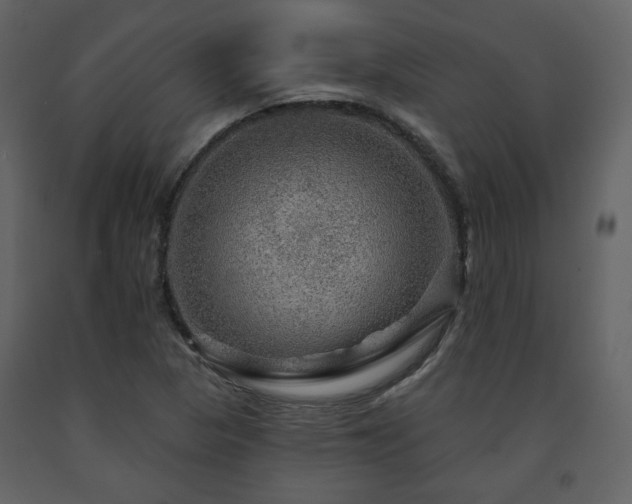 X0000091721313200708241340