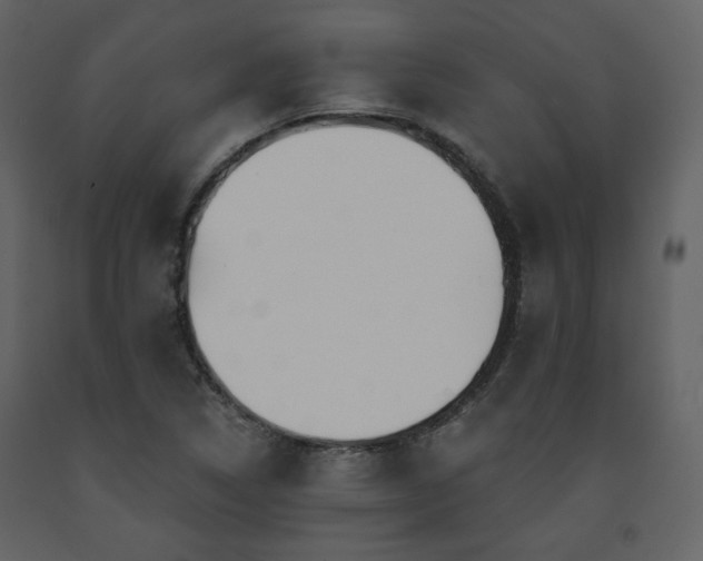 X0000091721314200708241340