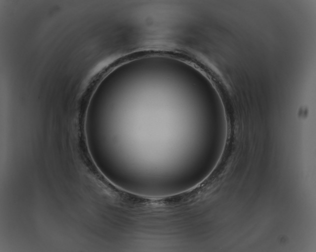 X0000091721315200708241340
