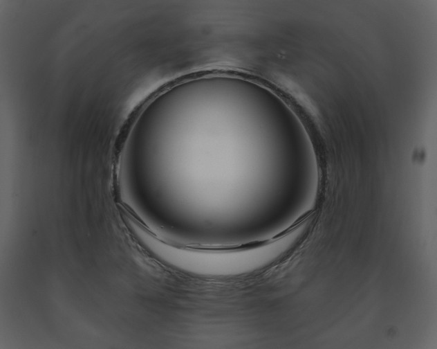 X0000091721316200708241340