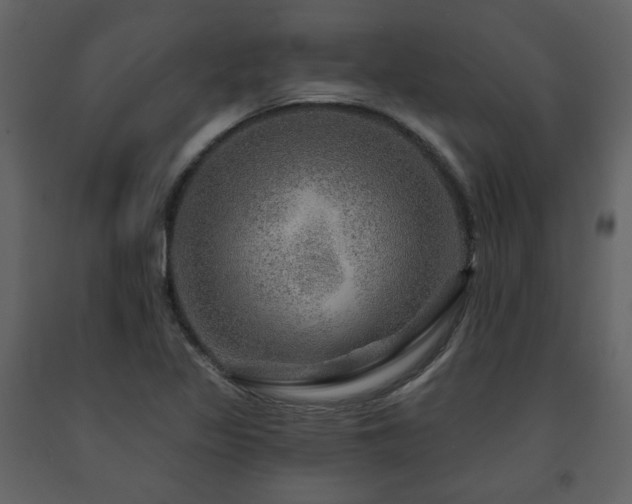 X0000091721317200708241340
