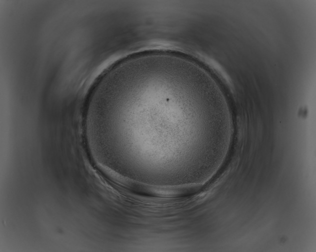 X0000091721318200708241340