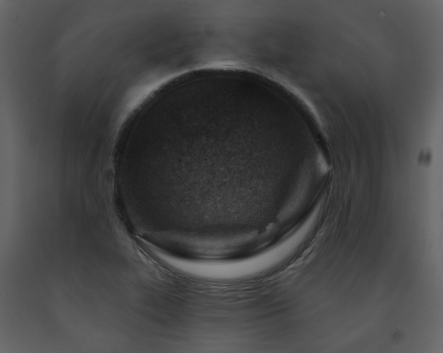 X0000091721319200708241340