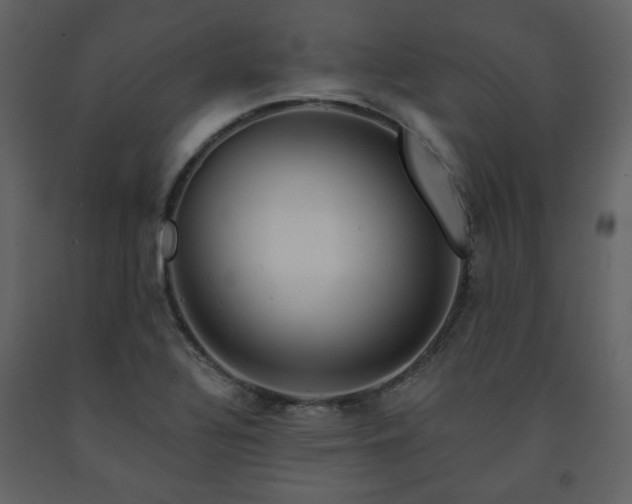 X0000091721320200708241340