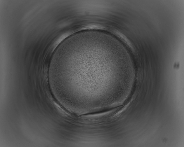 X0000091721321200708241340