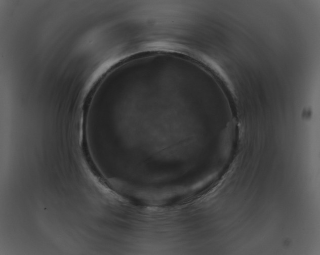 X0000091721323200708241340