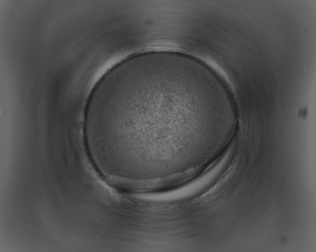X0000091721325200708241340