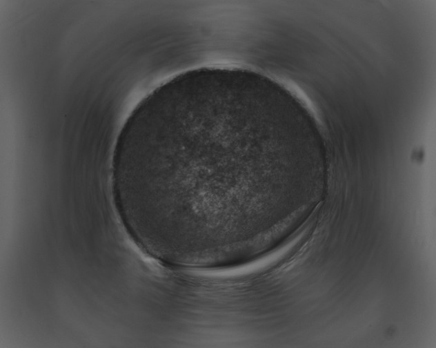 X0000091721327200708241340