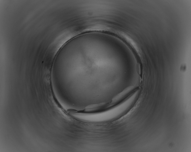X0000091721329200708241340