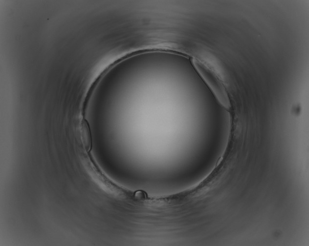 X0000091721332200708241340