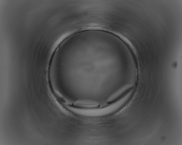 X0000091721333200708241340