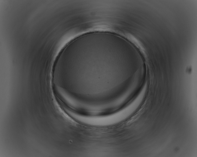 X0000091721334200708241340