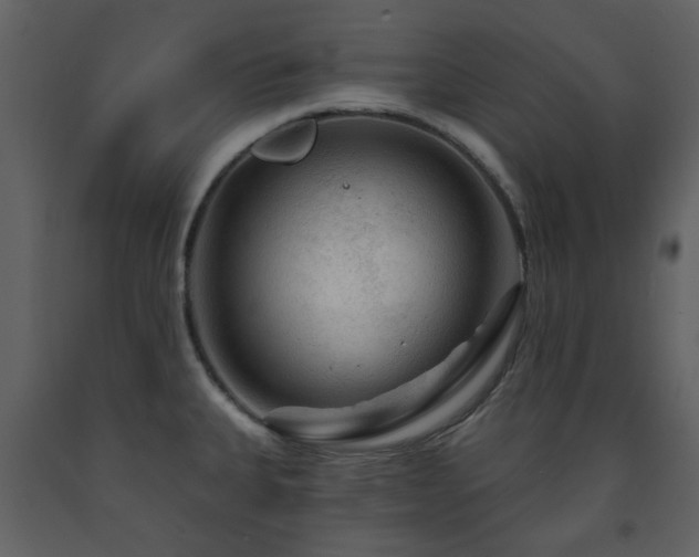 X0000091721335200708241340