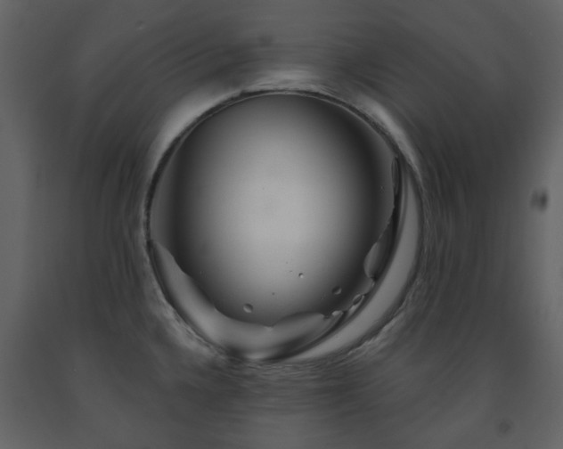 X0000091721336200708241340