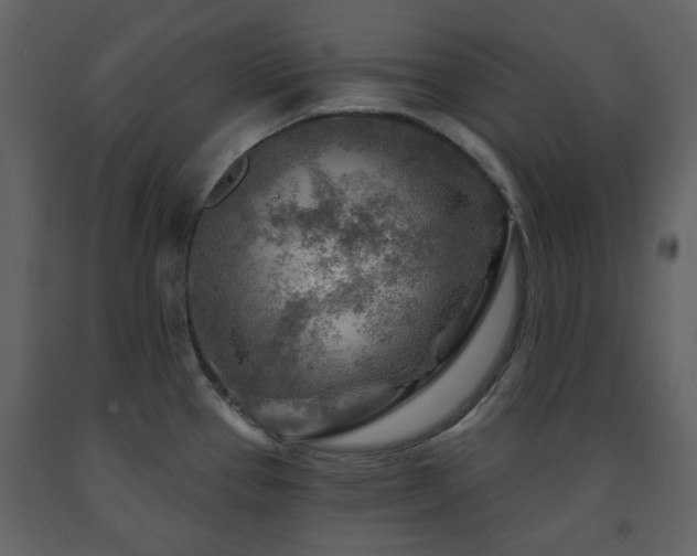 X0000091721337200708241340