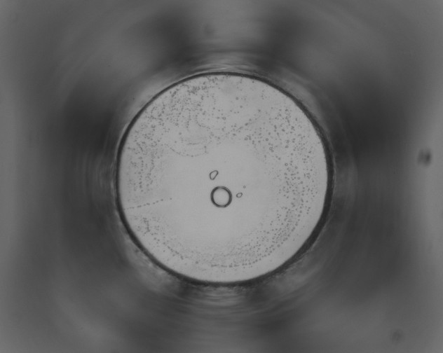 X0000091721338200708241340