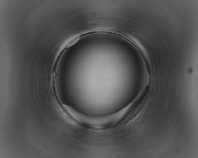 X0000091721340200708241340