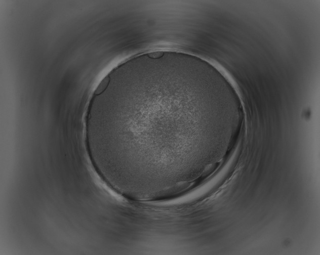 X0000091721341200708241340
