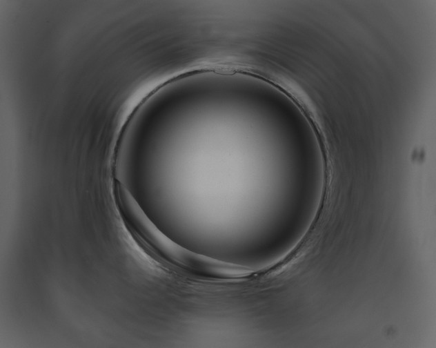 X0000091721344200708241340