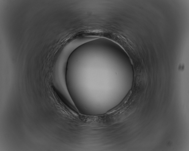 X0000091721345200708241339