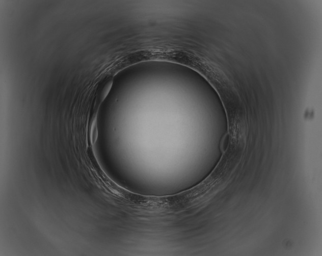 X0000091721346200708241339