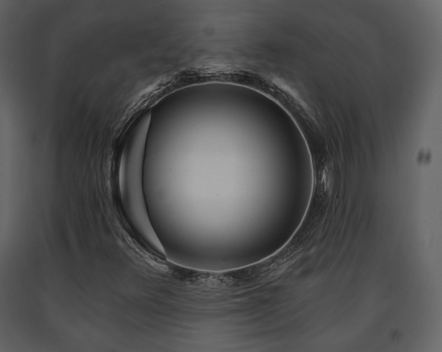 X0000091721348200708241339