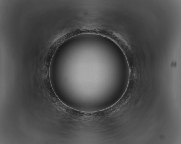 X0000091721350200708241339