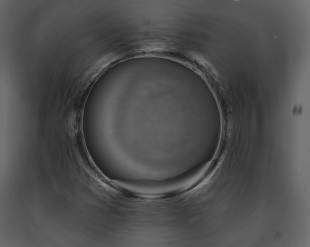 X0000091721353200708241339