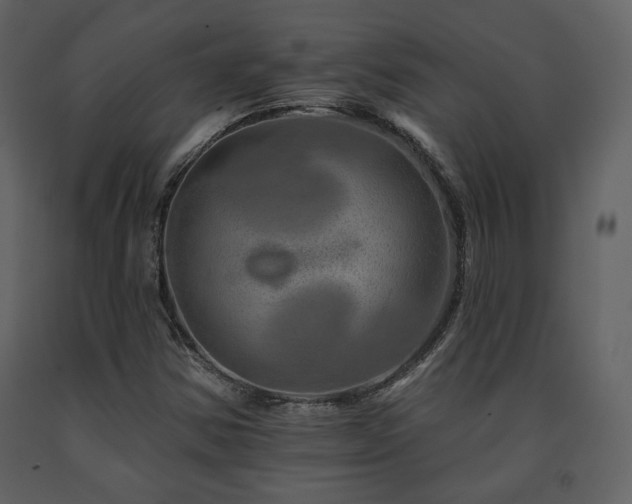 X0000091721354200708241339