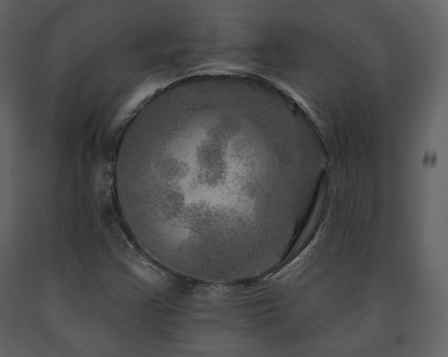 X0000091721355200708241339
