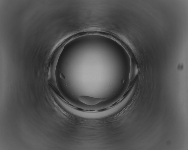 X0000091721356200708241339