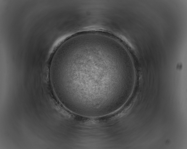X0000091721358200708241339