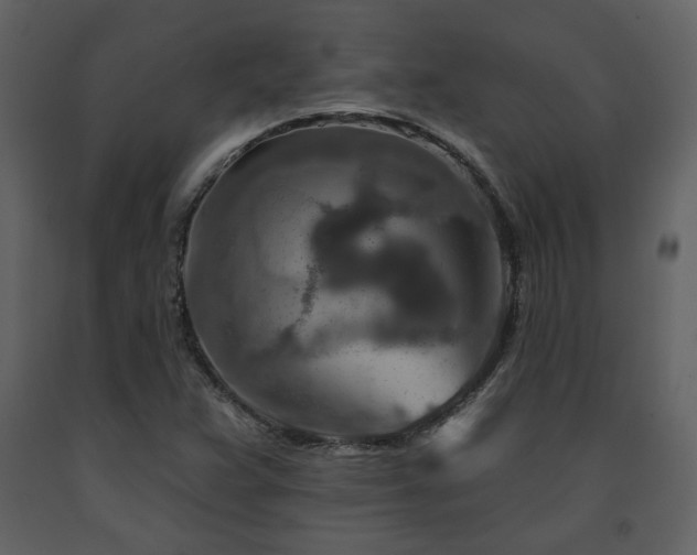X0000091721359200708241339