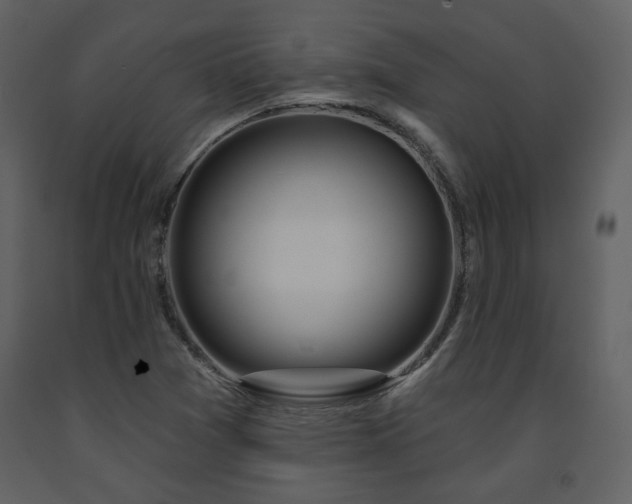 X0000091721361200708241339