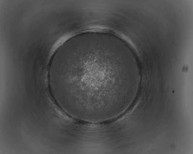 X0000091721362200708241339