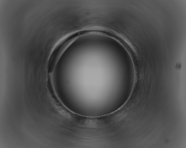 X0000091721364200708241339