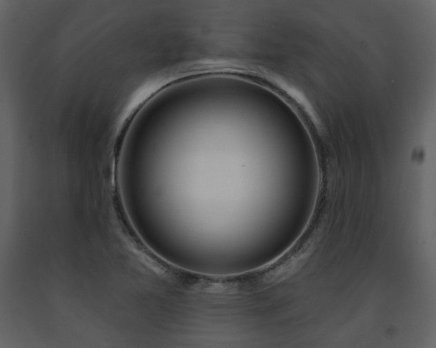X0000091721365200708241339