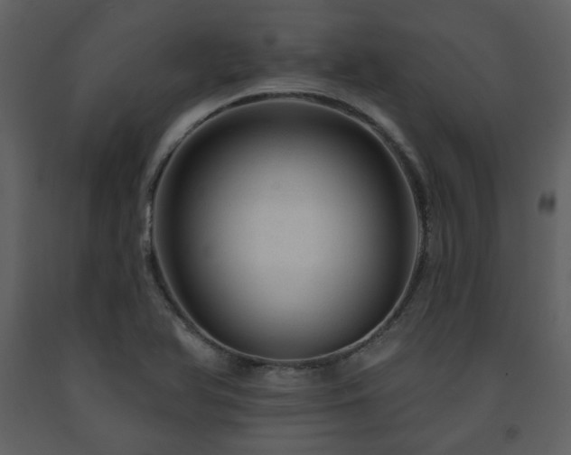 X0000091721366200708241339