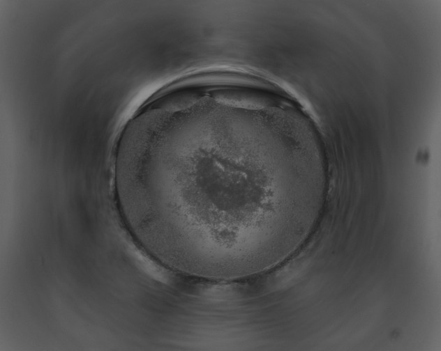 X0000091721367200708241339