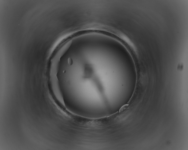 X0000091721368200708241339