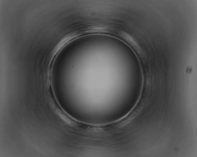 X0000091721370200708241339