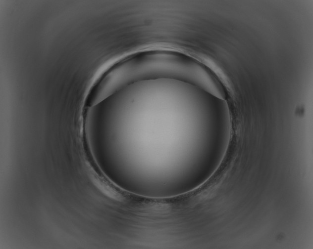 X0000091721372200708241339