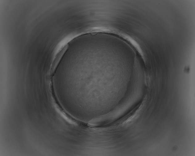 X0000091721373200708241339