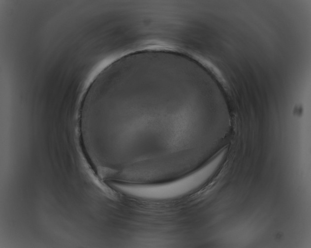 X0000091721375200708241339