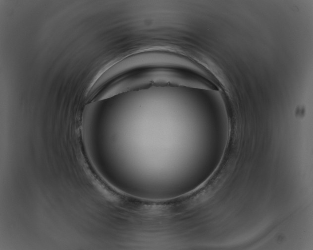 X0000091721377200708241339